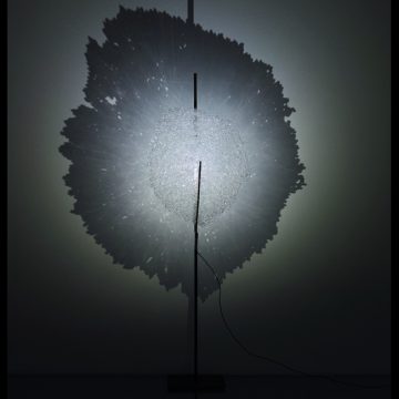 1. Ombra, luce da tavolo, di CATELLANI & SMITH