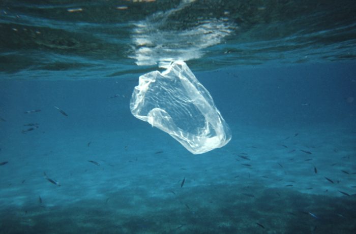 plastica in mare