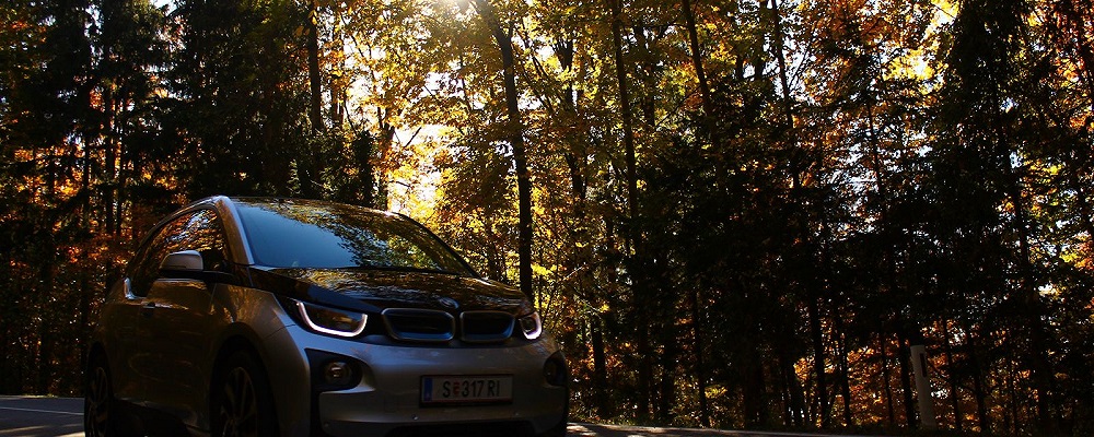 auto-elettrica-bosco