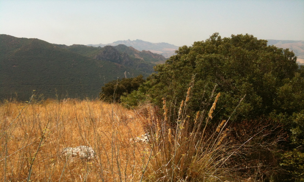 valle del sosio
