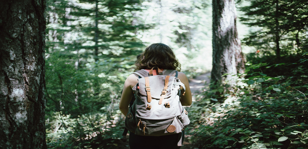 eco travellers