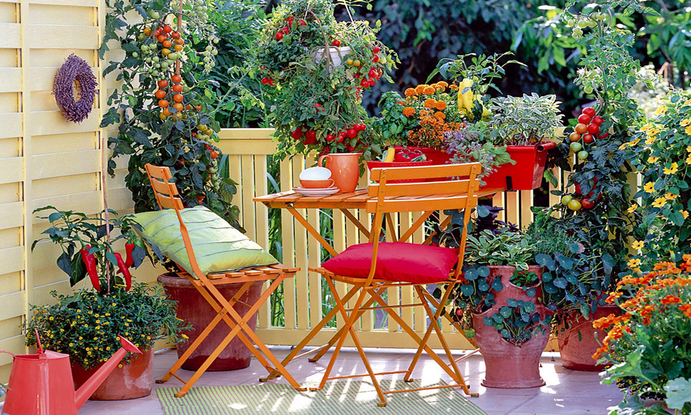 Pomodori nell'orto sul terrazzo