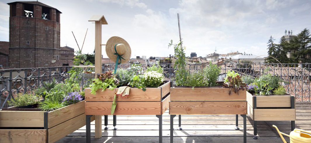 Orto sul balcone