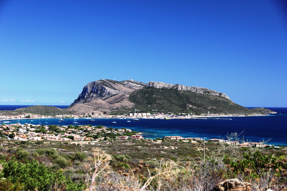 Capo Figari (Olbia Tempio)