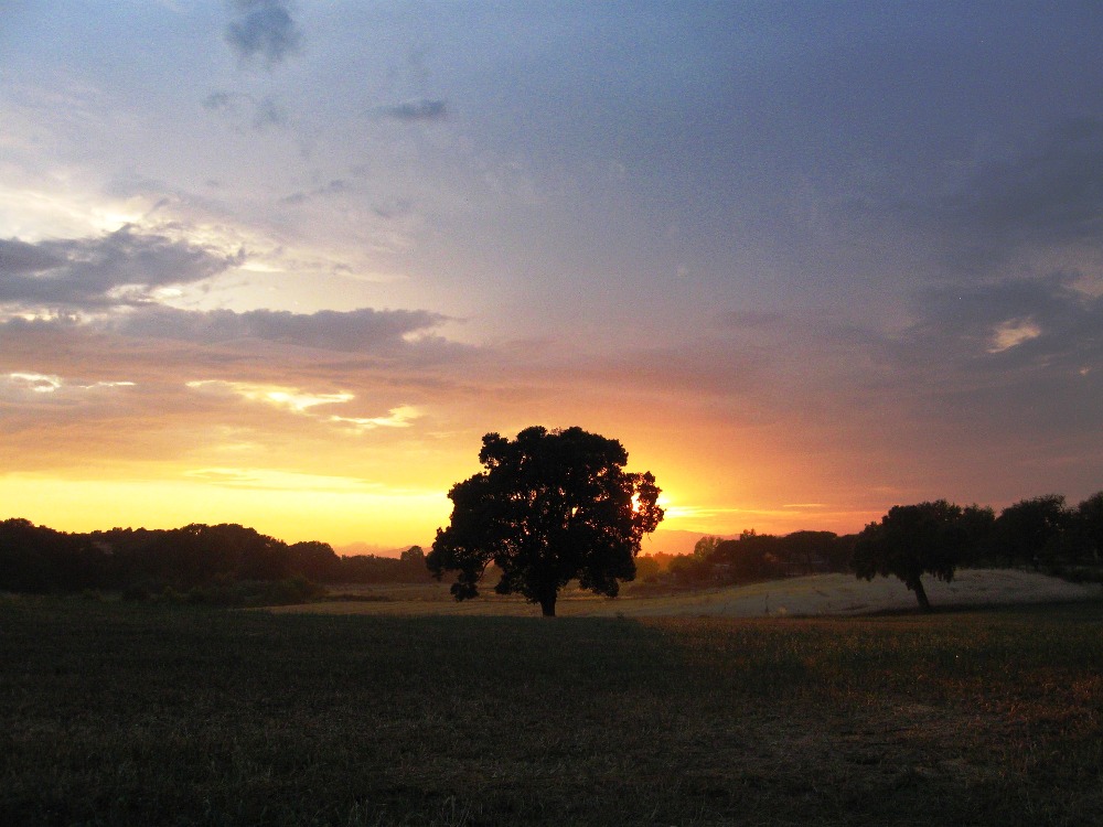 Parco della Maremma (Grosseto)