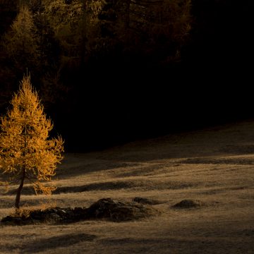 1 - La prima lama di luce che taglia il buio della notte