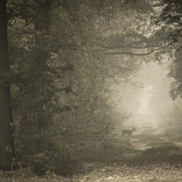 3 - C’era una volta