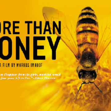More than honey- Un mondo in pericolo