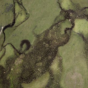 another-earth
