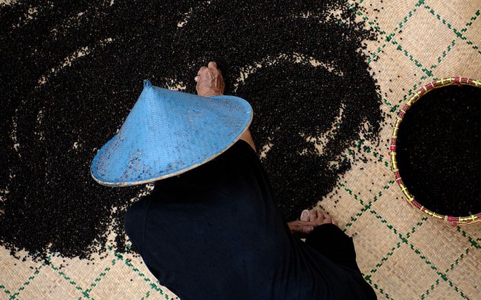 slow food_Malaysia_Rimbas black pepper_Alberto Peroli-X3