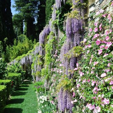 villa-della-pergola