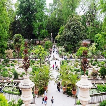 orto-botanico-padova
