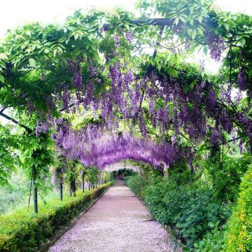 bardini-giardini