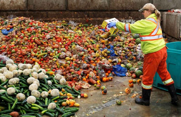 Del cibo ancora buono buttato via in una discarica