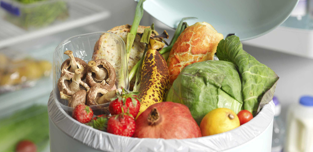 Cibo buttato in una pattumiera
