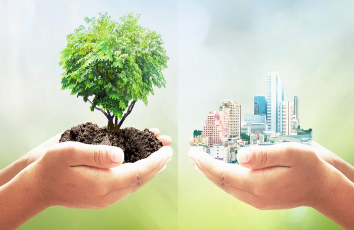 Due mani tengono nel palmo da una parte un albero e dall'altra una città