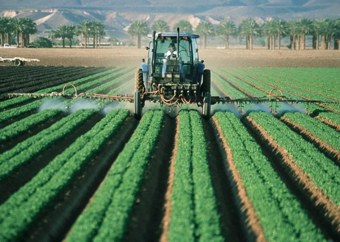 Agricoltura intensiva