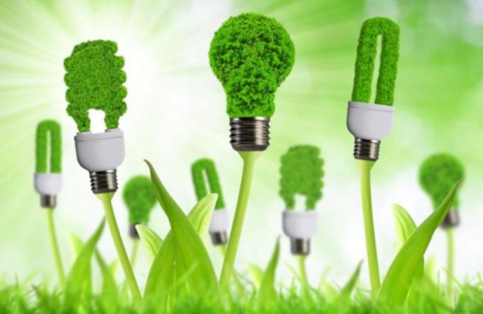 Lampadine fatte di piante, alimentate con energia rinnovabile