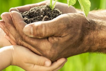 piantare alberi bambini