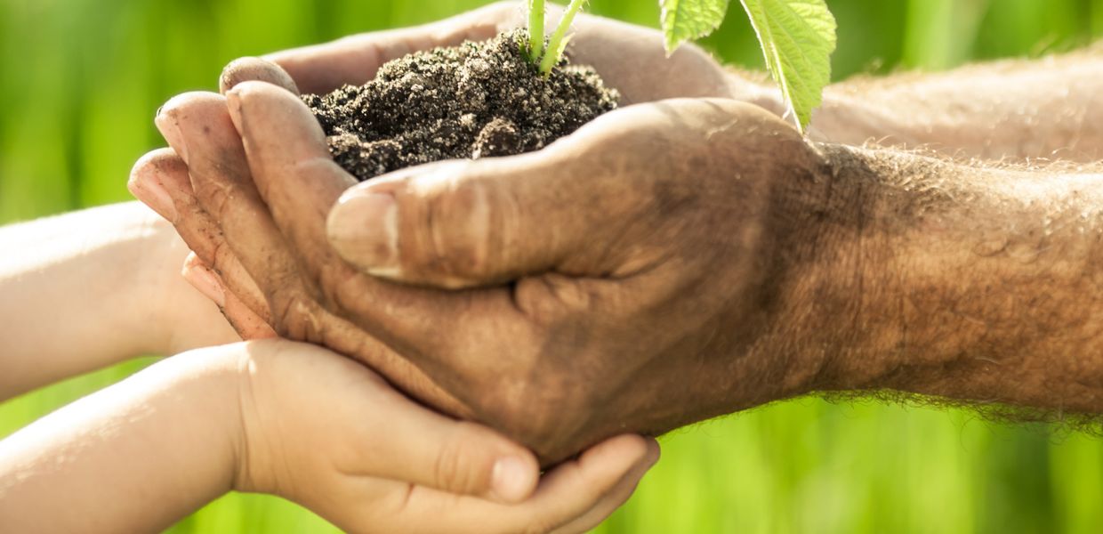 piantare alberi bambini